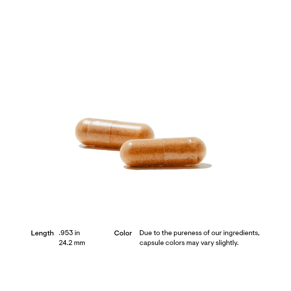 Red Yeast Rice + CoQ10 — image 2 of 4