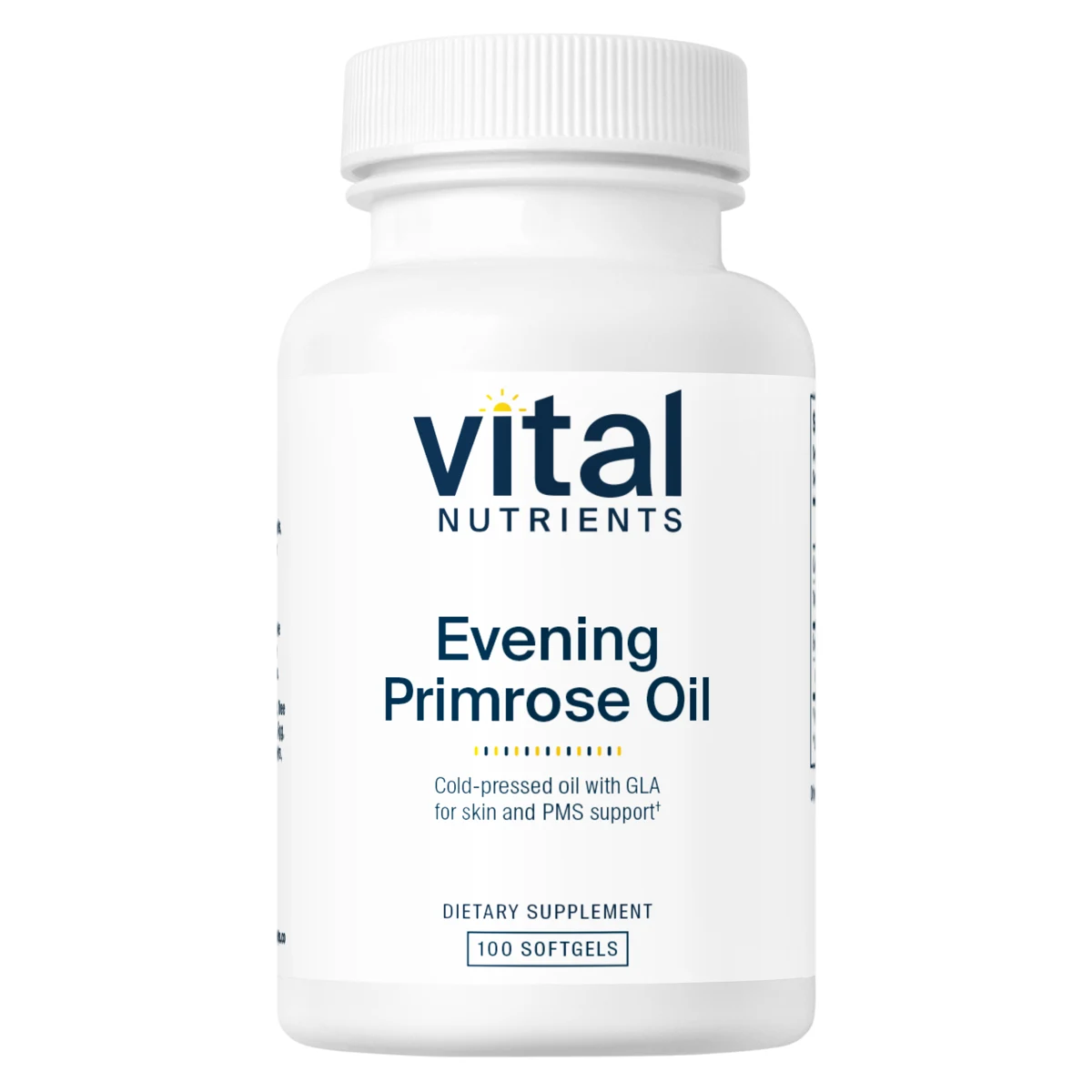 Evening Primrose