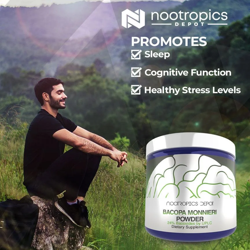 Bacopa Monnieri Powder | 24% Bacosides — image 6 of 6